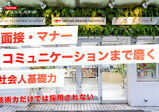 技術力だけでは採用されない｜面接・マナー・コミュニケーションまで磨く社会人基礎力
