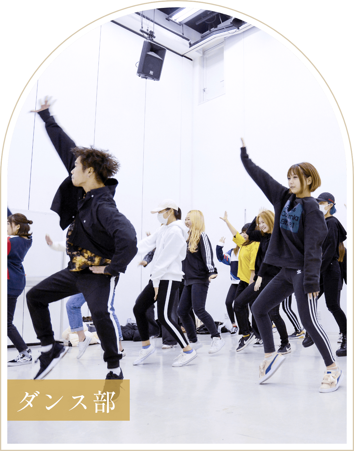 ダンス部