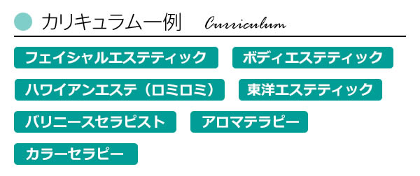 カリキュラム一例